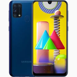Samsung Galaxy M31 SM-M315*