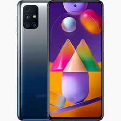 Samsung Galaxy M31s SM-M317*